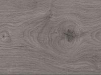 Bild von Laminat Bay Cat Oak (Eiche)