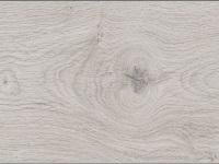 Bild von Laminat Panda Oak (Eiche)